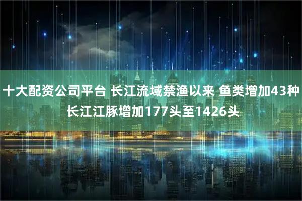 十大配资公司平台 长江流域禁渔以来 鱼类增加43种 长江江豚增加177头至1426头