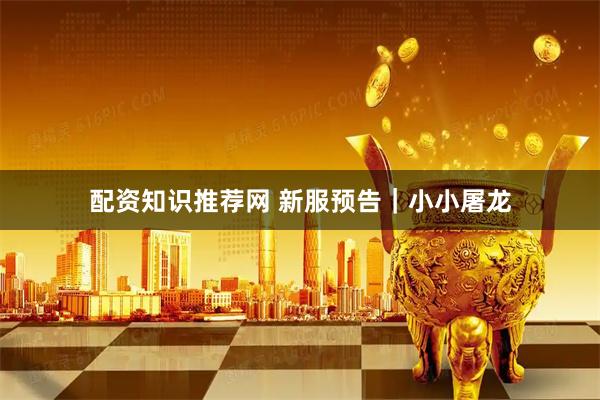 配资知识推荐网 新服预告|小小屠龙